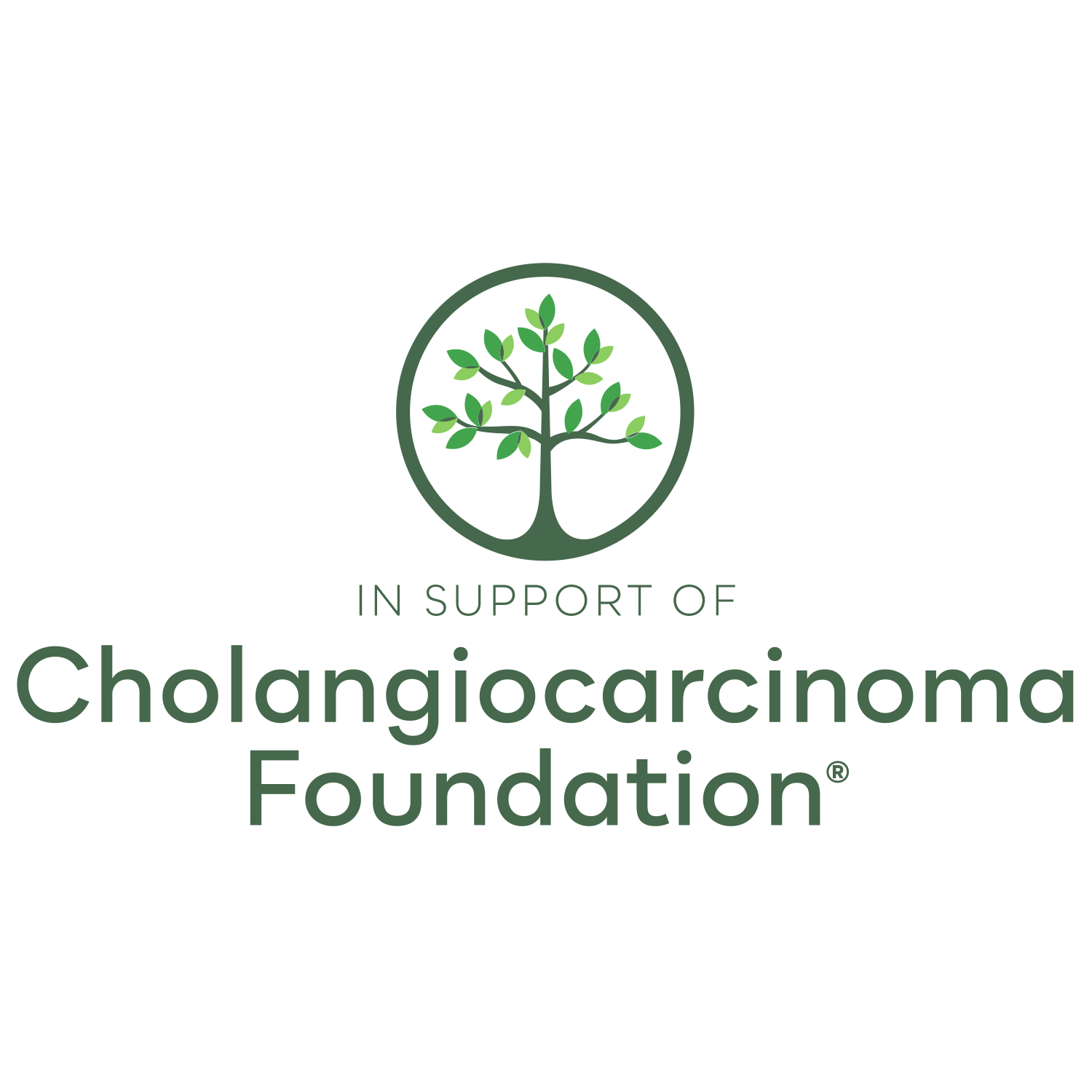 Cholangiocarcinoma Foundation